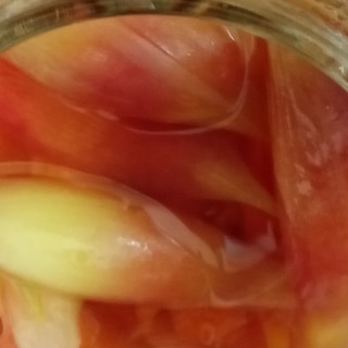 生姜の甘酢を天然素材で染める方法